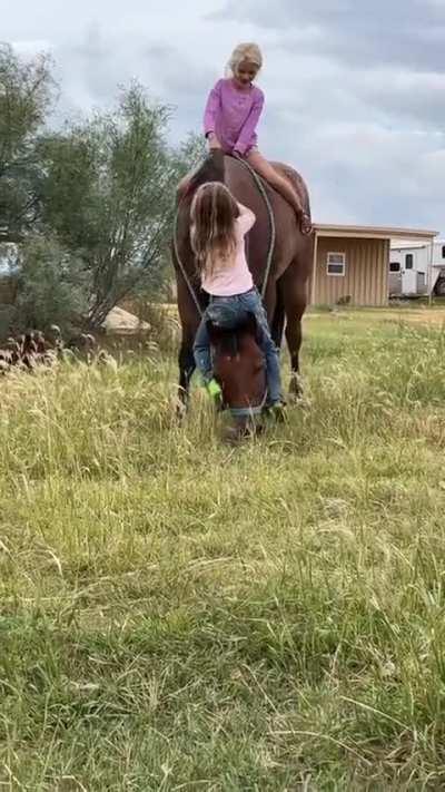 Patient Horse helps Children Get On