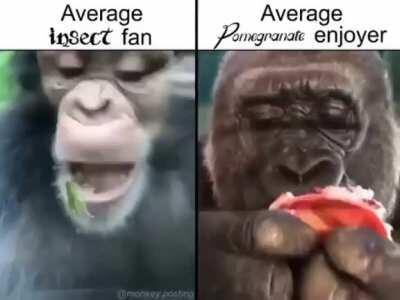 To all pomegranate enjoyers i wish you a good night