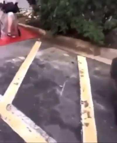 Heil spez anyone got more vids like this