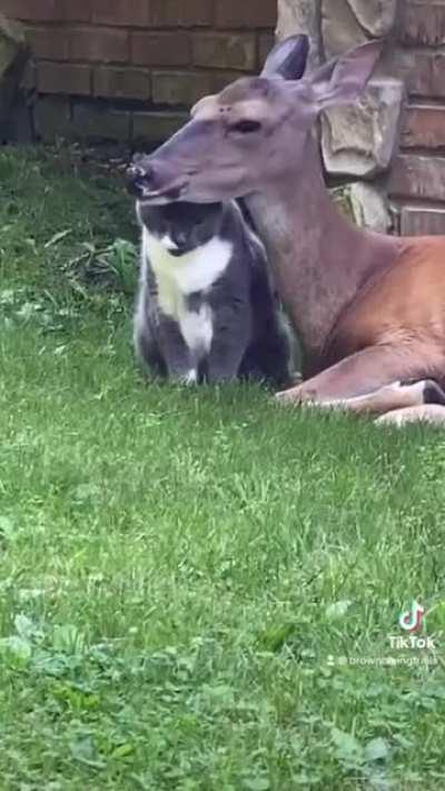 A friendship of 11 years