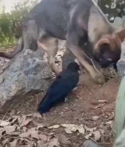 Unexpected acquaintances can eventually develop into a strong friendship