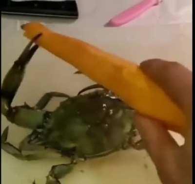 Wordington meal preparation