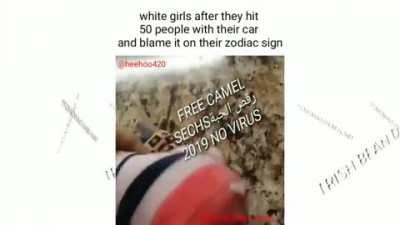 Found this on r/arabfunny