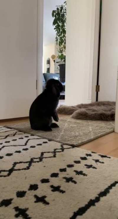 Ollies best binky to date.