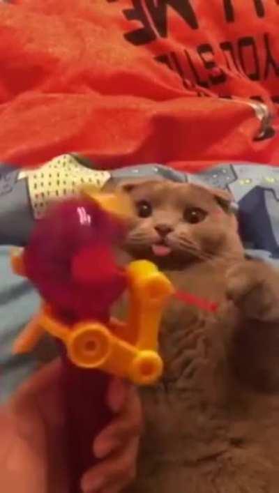 Catnip infused mlem.