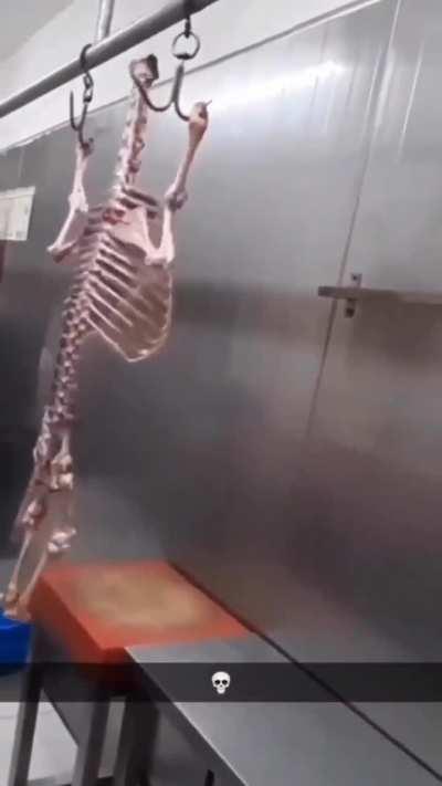 💀💀💀💀💀💀