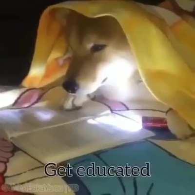 Be like Doge, Help Dociety