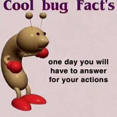 Bug Facts...