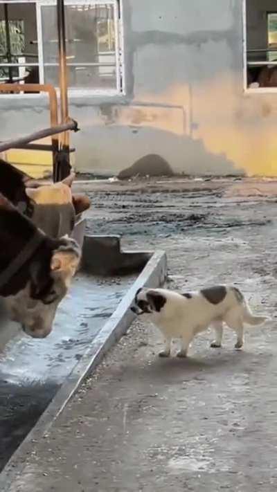 Непристойное предложение