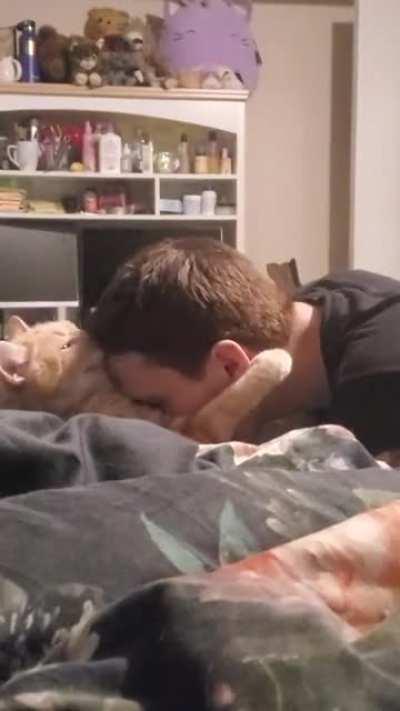 The affection between my son and his cat.
