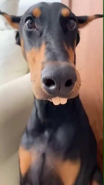 The laugh was funnier than the teeth