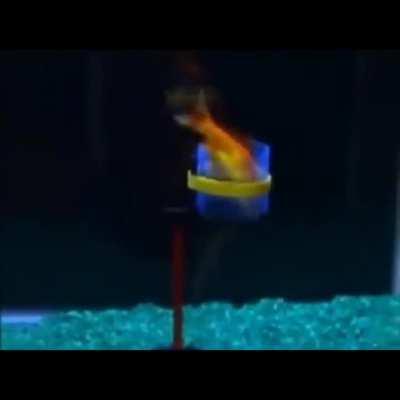 What girls have to do just to get a forehead kiss