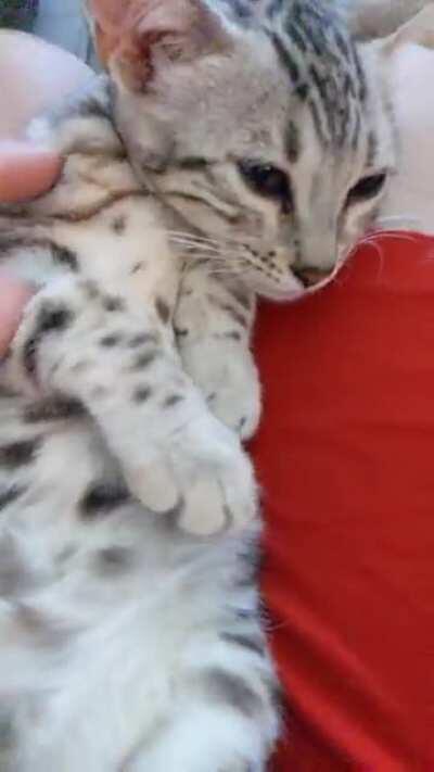 This is a legitimate reason to call out of work on Mondays Right?