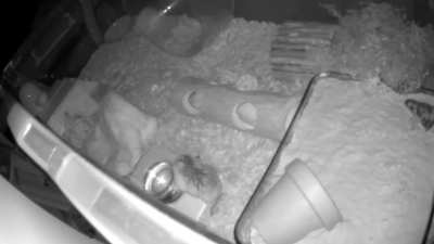 A quick drink and a plonk 🤣