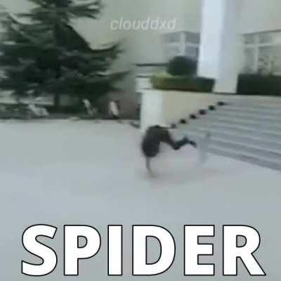 Evolução e adaptação