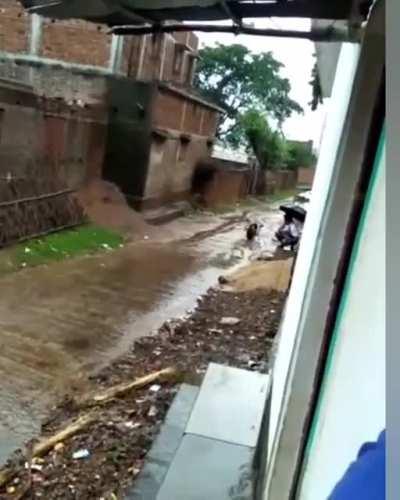 human darryl be like...