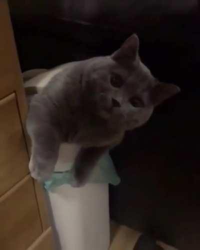 Time to take the trash out