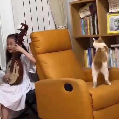 A series of tiny startles (cr: twitkocheng on twitter)