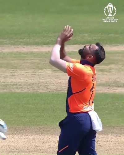 Shami's all 45 wickets in WC. 