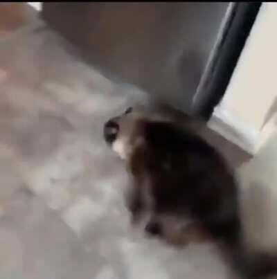 Old old (headphone warning)