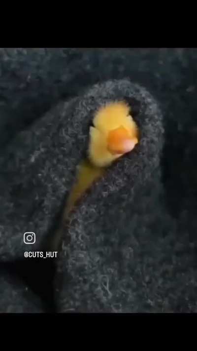 *Insert Die with a smile by Bruno Mars*