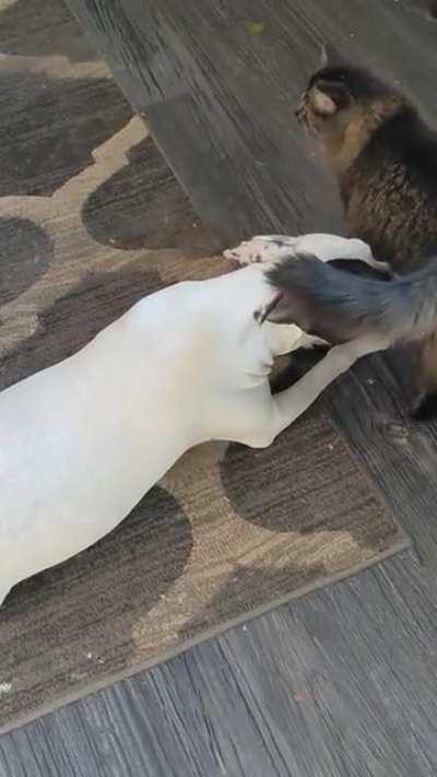 I love how much they love her!