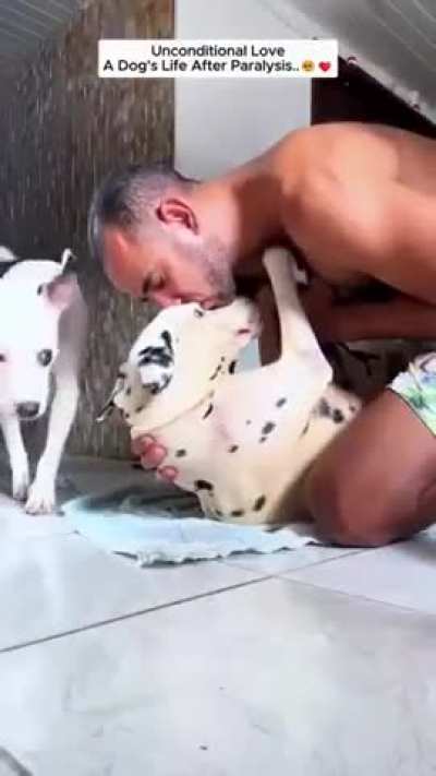 Oh my goodness, the dedication that took is insane.