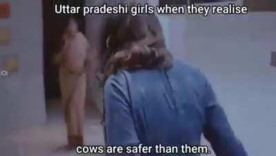 Laughs until Tamil Nadu appears in the meme.