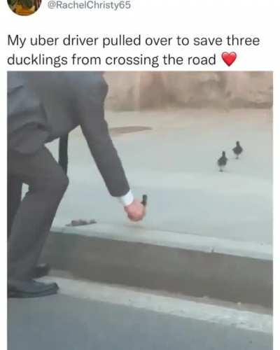 That's a 5 star uber driver right there.