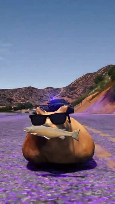 When your cat steals a little fish