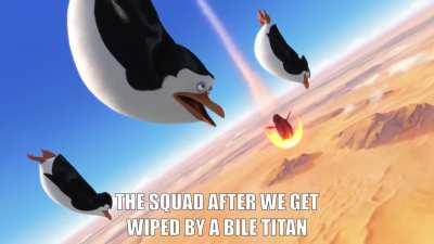 The squad after we get wiped by a bile titan