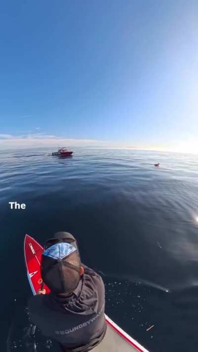 Paddleboarder comes across an unmanned boat offshore, calls coast guard
