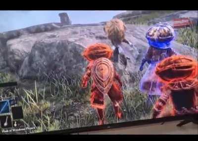 the real Elden Ring is the friends we made along the way