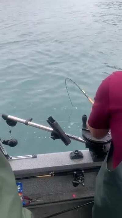 [Alaska] I thought we were just fishing for salmon....guess I was wrong