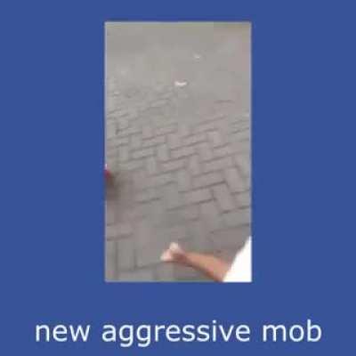 The new update looks sick