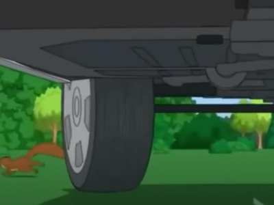 Brian runs over a squirrel