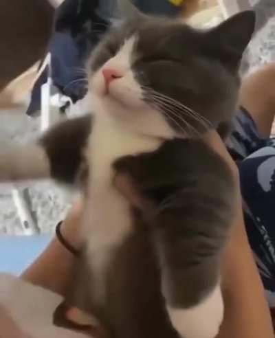 Don't bother with your kisses.