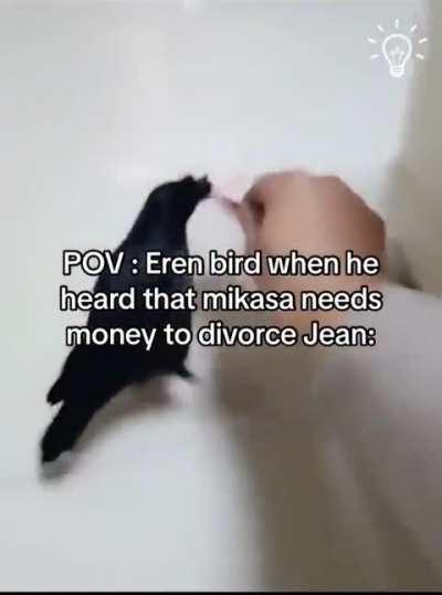 Joder los memes de eren ave an incrementado 