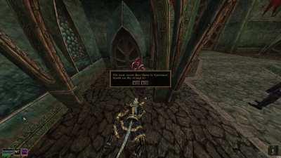 calmest albanian man cursing