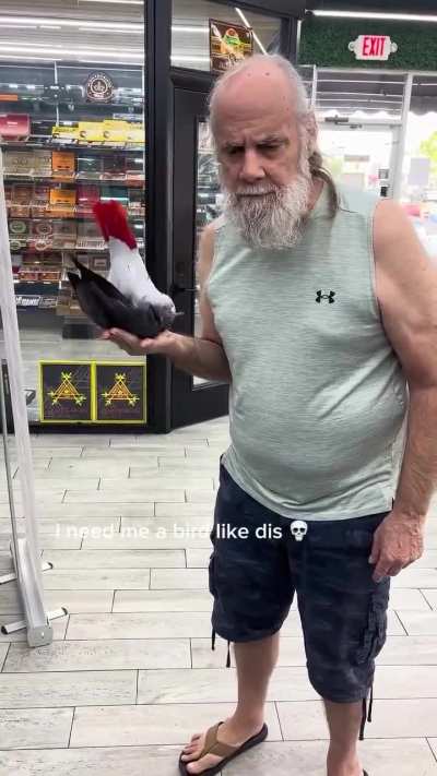 A very intelligent bird and an incredible bond with his human