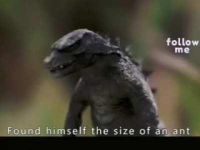 🎊🌜✅👩‍🚀🪖🎒⚧️