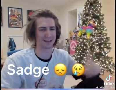 Credit to @dailydozeofxqc on tik tok