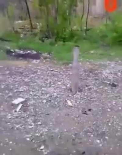 Dropping a lit cigarette into a septic tank