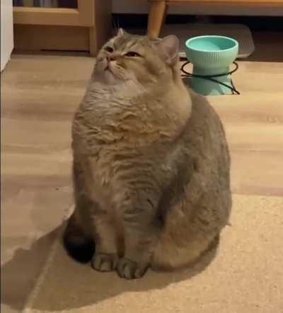 Sleepy and proud of himself.