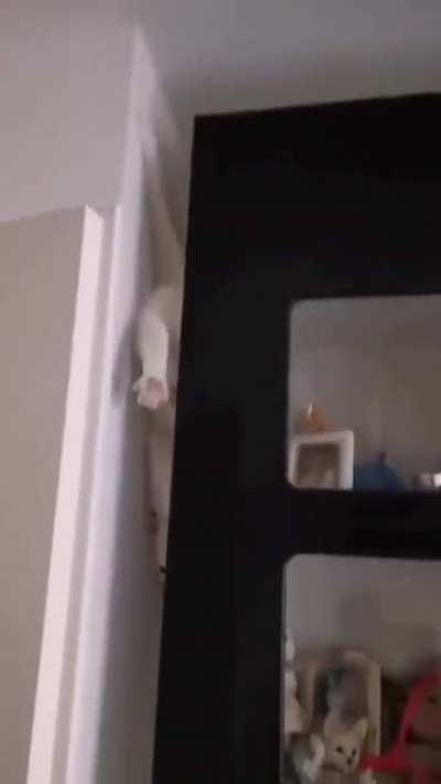 Ok, what did I just watch?