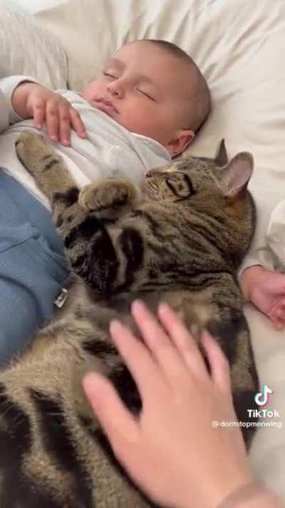 This made my whole week. ❤️. Cat is having snuggle time