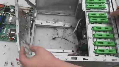 DankPods the computer whisperer