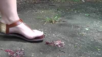 Wonderful feet 😍
crushes without mercy