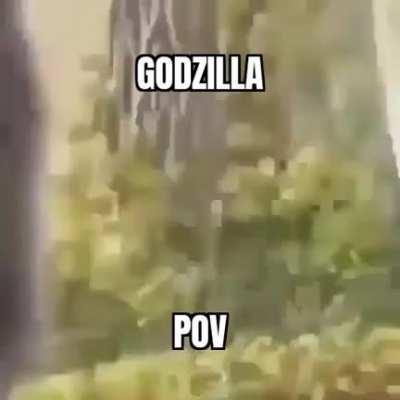 Let's go big monke brother