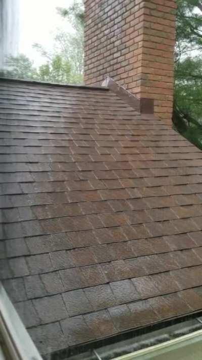 Light Rain on my Roof